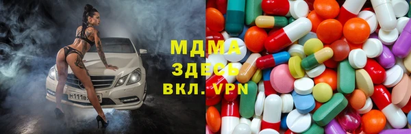 ГАЛЛЮЦИНОГЕННЫЕ ГРИБЫ Аркадак